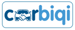 Carbiqi - Digital Marketing Services