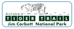 Tiger Trail - Website Development